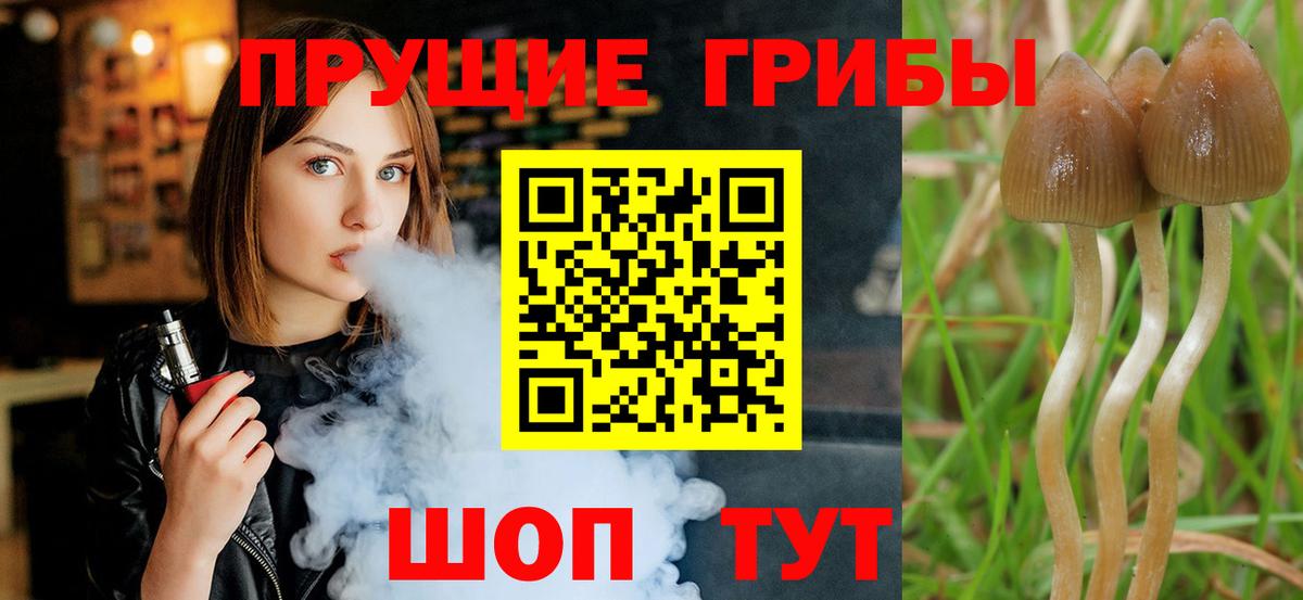 Галлюциногенные грибы прущие грибы  Вход с VPN  продажа наркотиков  Унеча 