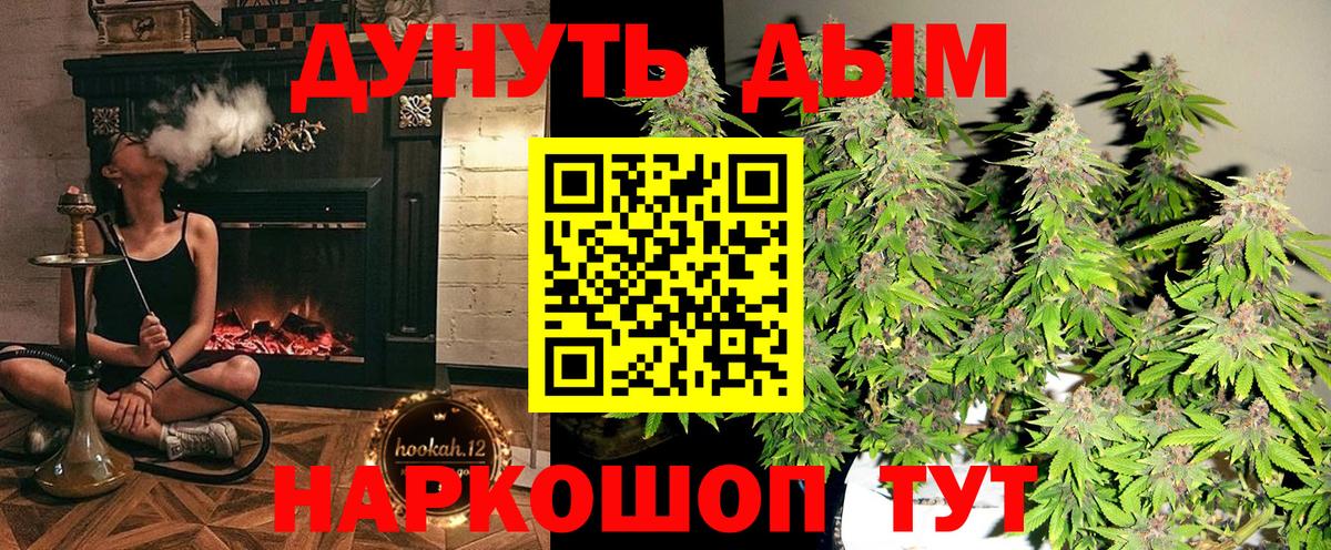 МАРИХУАНА план  Каннабис ГИДРОПОН  Вход с VPN  Унеча  Конопля Bruce Banner 